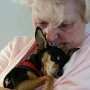 Meet your Posher, Vicki